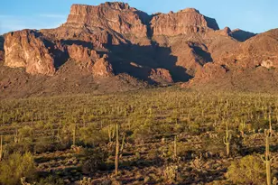 6806 E Superstition View Dr, Gold Canyon, AZ 85119 - Photo 52