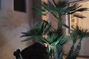 14007 E Bajada Dr, Scottsdale, AZ 85262 - Photo 104