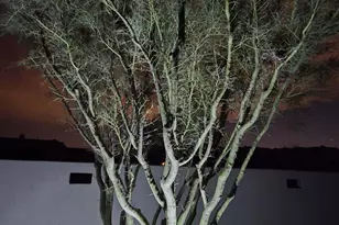 14007 E Bajada Dr, Scottsdale, AZ 85262 - Photo 98