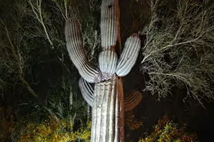 14007 E Bajada Dr, Scottsdale, AZ 85262 - Photo 100