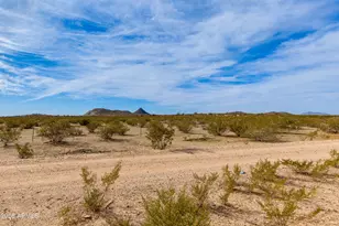 5609 E Lush Vista View, Florence, AZ 85132 - Photo 34