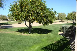 14226 W Sky Hawk Dr, Sun City West, AZ 85375 - Photo 36