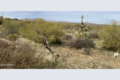 40 N 144th Street #D, Scottsdale, AZ 85262 - Photo 16