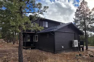 2795 Coyote Ridge, Happy Jack, AZ 86024 - Photo 6