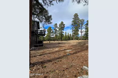 2795 Coyote Ridge, Happy Jack, AZ 86024 - Photo 24