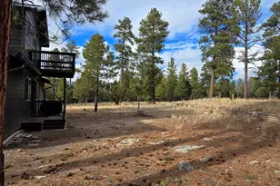 2795 Coyote Ridge, Happy Jack, AZ 86024 - Photo 24