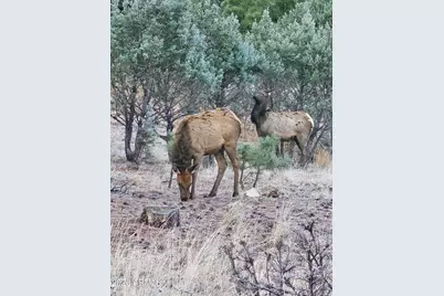 2795 Coyote Ridge, Happy Jack, AZ 86024 - Photo 8