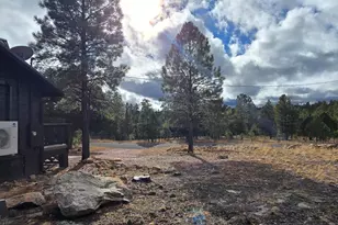 2795 Coyote Ridge, Happy Jack, AZ 86024 - Photo 30