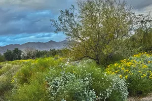 3474 N Hooper St, Buckeye, AZ 85396 - Photo 80