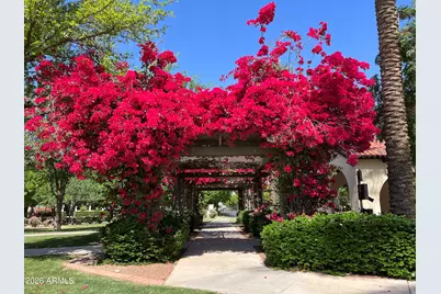 3474 N Hooper Street, Buckeye, AZ 85396 - Photo 30