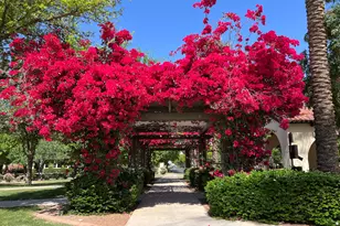 3474 N Hooper St, Buckeye, AZ 85396 - Photo 30