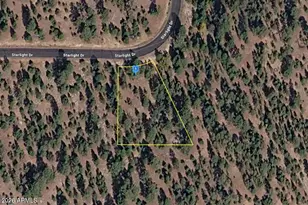 5141 Starlight Dr, Happy Jack, AZ 86024 - Photo 1