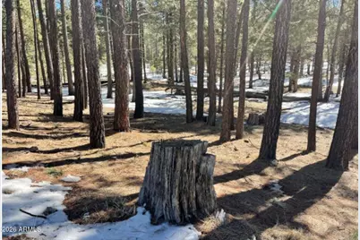 2692 State Route 260 Route #895, Forest Lakes, AZ 85931 - Photo 2