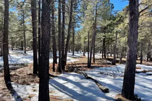 2692 State Route 260 Rte, Forest Lakes, AZ 85931 - Photo 1