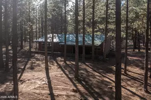 1415 Sheep Springs Rd, Forest Lakes, AZ 85931 - Photo 4