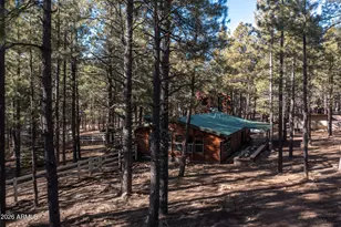 1415 Sheep Springs Rd, Forest Lakes, AZ 85931 - Photo 42