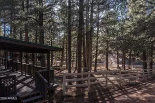 1415 Sheep Springs Rd, Forest Lakes, AZ 85931 - Photo 38