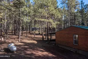 1415 Sheep Springs Rd, Forest Lakes, AZ 85931 - Photo 32