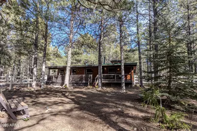 1415 Sheep Springs Road, Forest Lakes, AZ 85931 - Photo 2