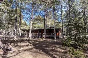 1415 Sheep Springs Rd, Forest Lakes, AZ 85931 - Photo 2