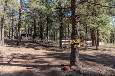 1415 Sheep Springs Road, Forest Lakes, AZ 85931 - Photo 26
