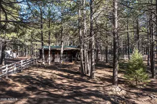 1415 Sheep Springs Rd, Forest Lakes, AZ 85931 - Photo 42