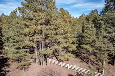 1415 Sheep Springs Road, Forest Lakes, AZ 85931 - Photo 36
