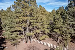 1415 Sheep Springs Rd, Forest Lakes, AZ 85931 - Photo 36