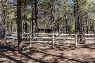 1415 Sheep Springs Rd, Forest Lakes, AZ 85931 - Photo 24
