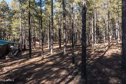 1415 Sheep Springs Road, Forest Lakes, AZ 85931 - Photo 46