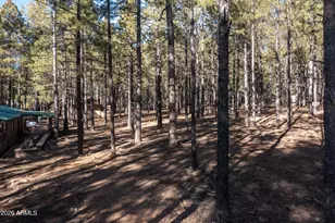 1415 Sheep Springs Rd, Forest Lakes, AZ 85931 - Photo 46