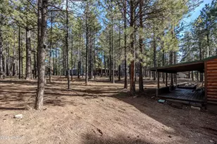 1415 Sheep Springs Rd, Forest Lakes, AZ 85931 - Photo 32