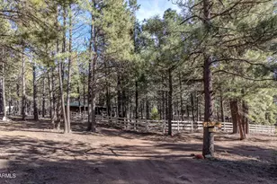1415 Sheep Springs Rd, Forest Lakes, AZ 85931 - Photo 40
