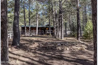 1415 Sheep Springs Road, Forest Lakes, AZ 85931 - Photo 30