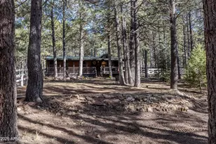 1415 Sheep Springs Rd, Forest Lakes, AZ 85931 - Photo 30