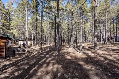 1415 Sheep Springs Road, Forest Lakes, AZ 85931 - Photo 38