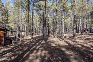 1415 Sheep Springs Rd, Forest Lakes, AZ 85931 - Photo 38