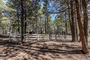 1415 Sheep Springs Rd, Forest Lakes, AZ 85931 - Photo 28