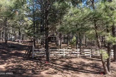 1415 Sheep Springs Road, Forest Lakes, AZ 85931 - Photo 44