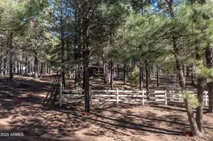 1415 Sheep Springs Rd, Forest Lakes, AZ 85931 - Photo 44