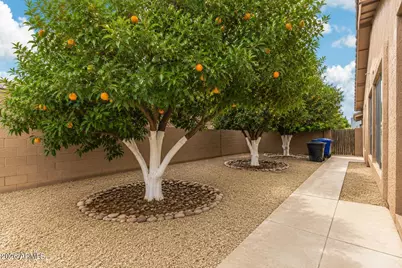 4556 E Downing Street, Mesa, AZ 85205 - Photo 38