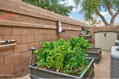 373 W Macaw Drive, Chandler, AZ 85286 - Photo 38