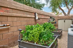 373 W Macaw Dr, Chandler, AZ 85286 - Photo 38