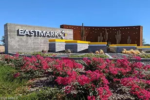 5009 S Selenium Ln, Mesa, AZ 85212 - Photo 54