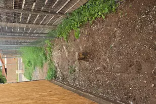 2101 E Virginia Ave, Phoenix, AZ 85006 - Photo 40