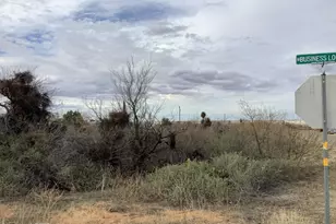 548 E Business Loop, Bowie, AZ 85605 - Photo 1