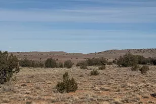 Lot D Parcel # 212-63-004-5152 --, Concho, AZ 85924 - Photo 1