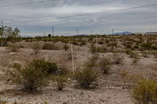 14617 N Riverview Ct, Florence, AZ 85132 - Photo 50