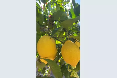 14049 N 153rd Drive, Surprise, AZ 85379 - Photo 38