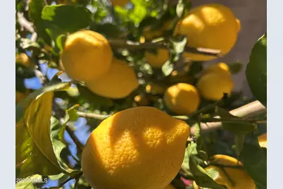 14049 N 153rd Drive, Surprise, AZ 85379 - Photo 38